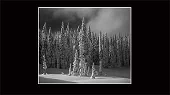 The Richard Philip Soltice Gallery - Light on Trees and Snow at Kootenay Pass
