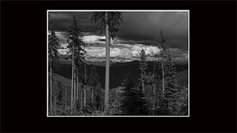 The Richard Philip Soltice Gallery - Trees, Clouds and Monashee Mts