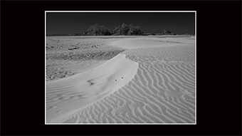 The Richard Philip Soltice Gallery - Vancouver Island Sand Dunes